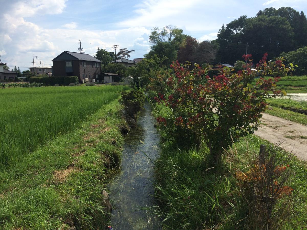 En Guest House Matsumoto Bagian luar foto